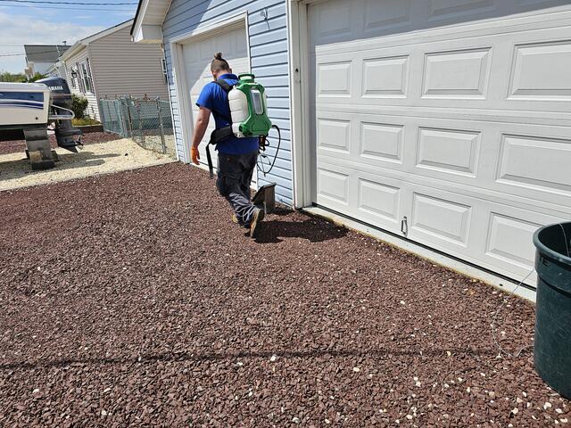 Getting In Under the Siding
