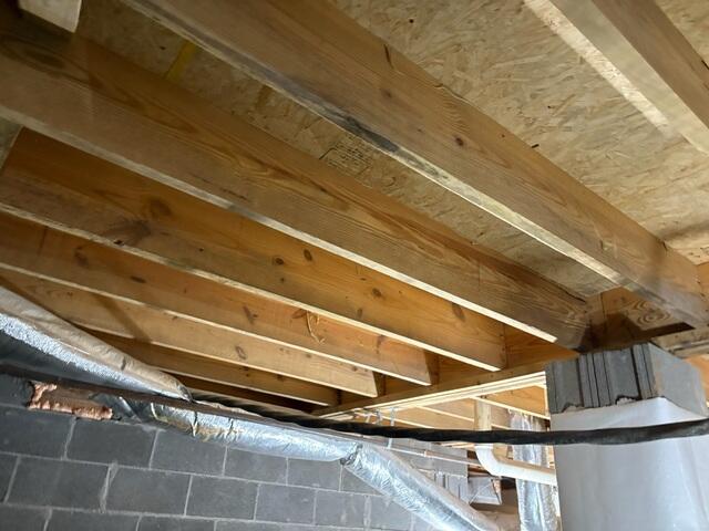 Mold Treated