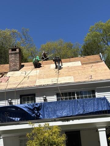 Roof Decking