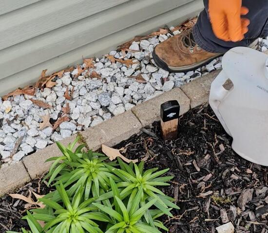 Checking the Termite Monitors