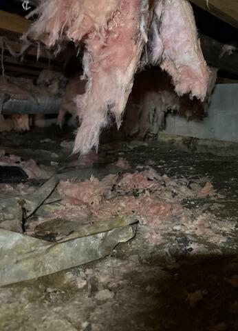 Crawl Space During Inspection