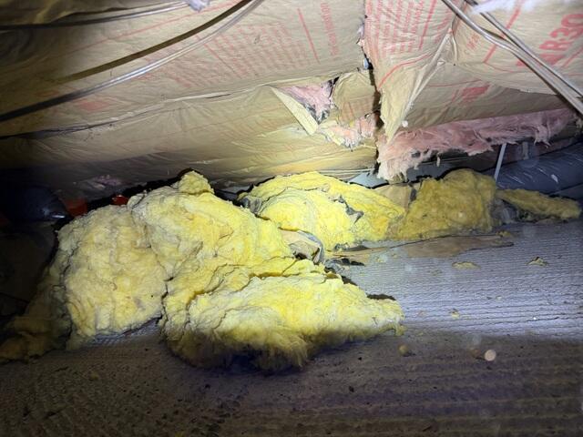 Before Crawlspace Encapsulation