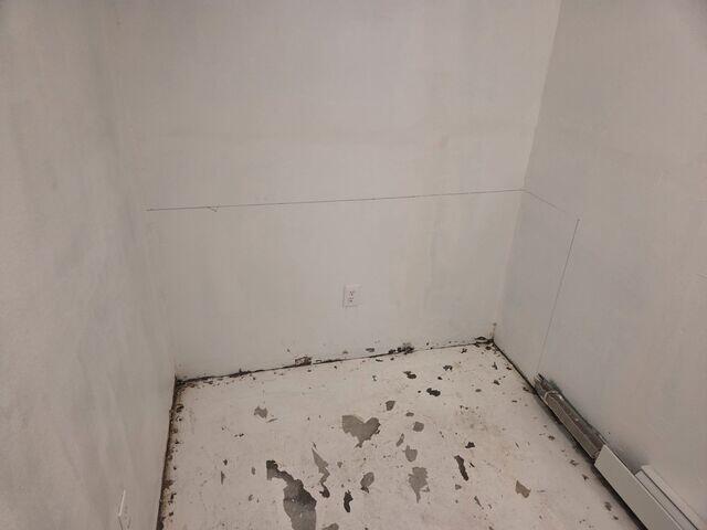 Wet, peeling basement
