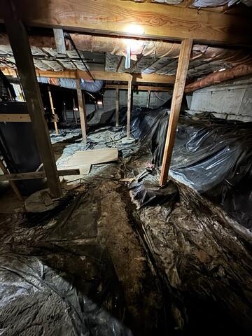 Dirty Crawl Space