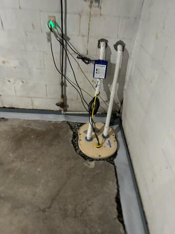 TripleSafe Sump Pump