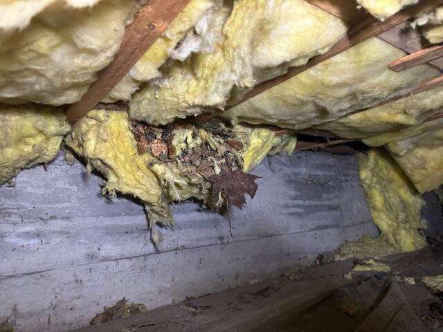 Sagging Fiberglass