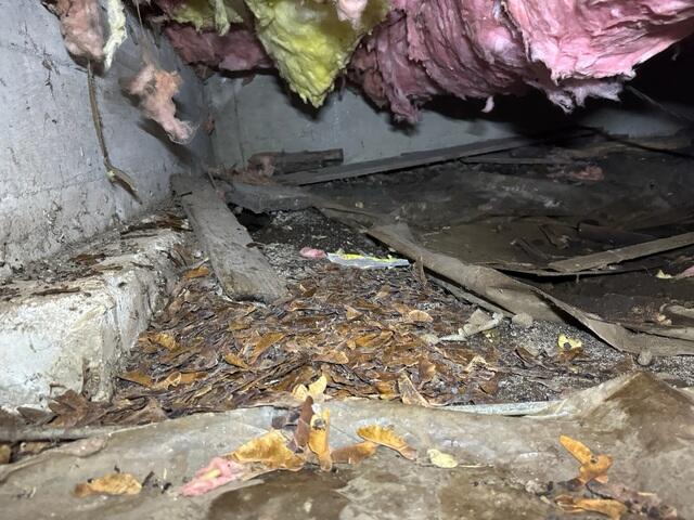 Debris Filled Crawl Space