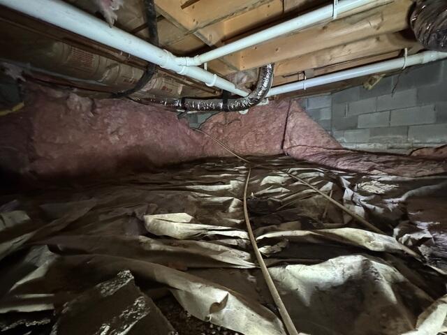 Crawl Space During Inspection