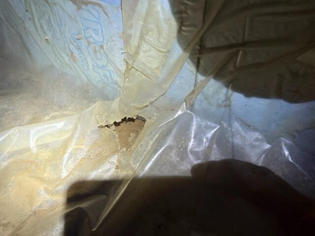 Signs of Pest Damage