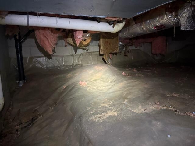 Fiberglass Falling from the Floor Joists