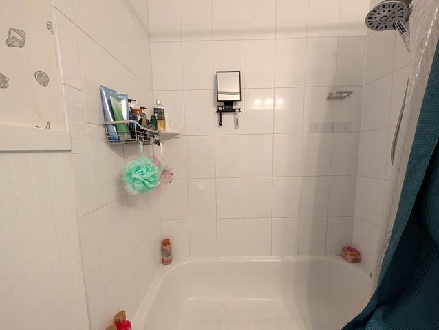 Bathroom Remodel Edgewater