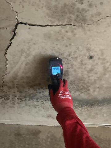 What moisture level indicates mold?