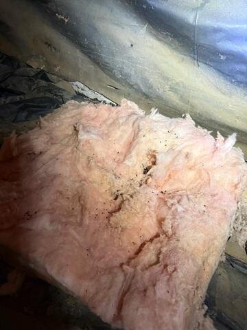 Fiberglass Insulation