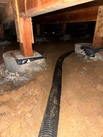 Perforated Pipe