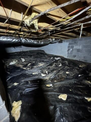 Crawl Space During Inspection