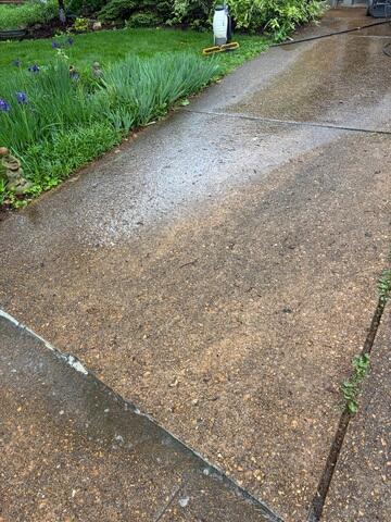 Driveway Before Repairs and Cleaning