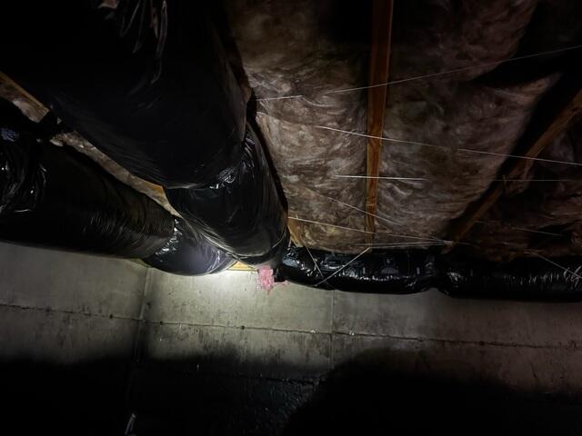Very Moldy Subfloor Insulation