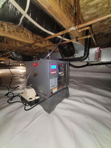 SaniDry Sedona with condensate pump