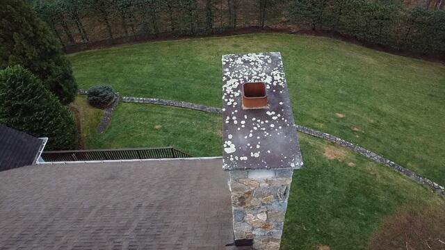 Heavy Organic Growth on the Chimney Cap