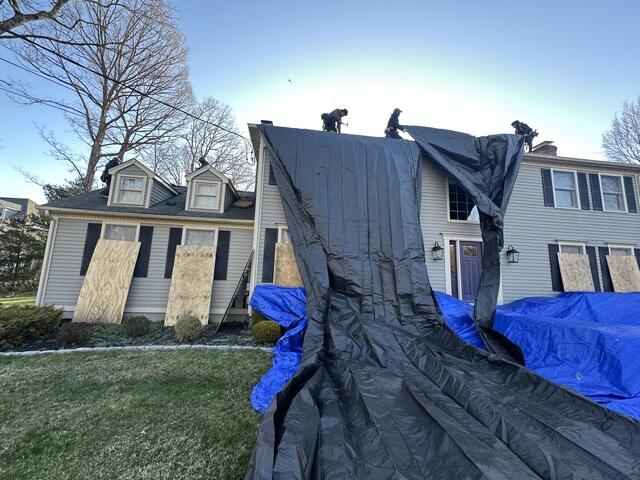 Tarping The Property