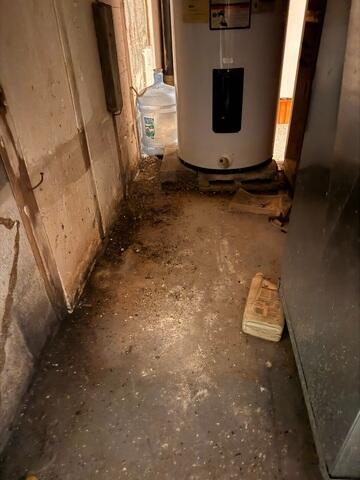 Spore growth was visible along the floor and walls, indicating that this basement had a serious water problem. Mold should be treated immediately and professionally since it has major impacts on health, like allergies and asthma.