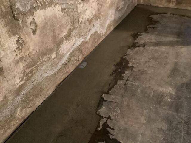 WaterGuard Discharge Line System & WaterGuard Port