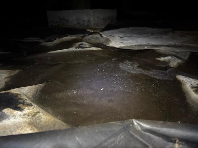 Wet and Dirty Crawl Space