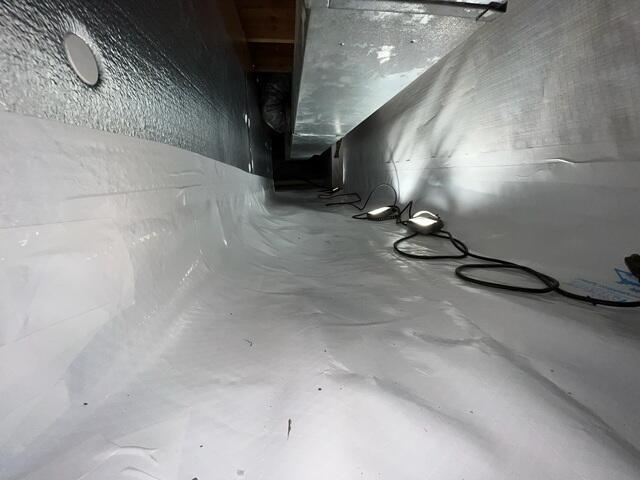 CleanSpace