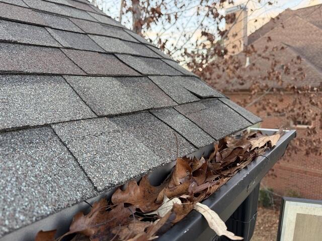 RainDrop Gutter protection needed
