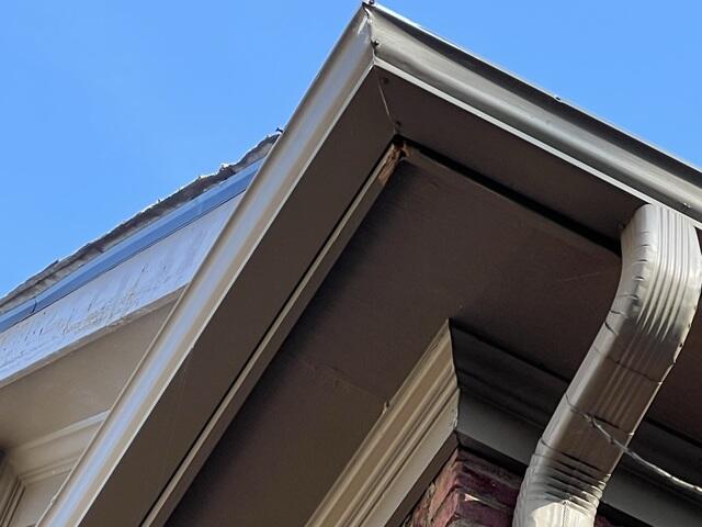 Damages to the fascia