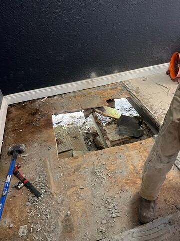 Removing Damaged Subfloor and Joists
