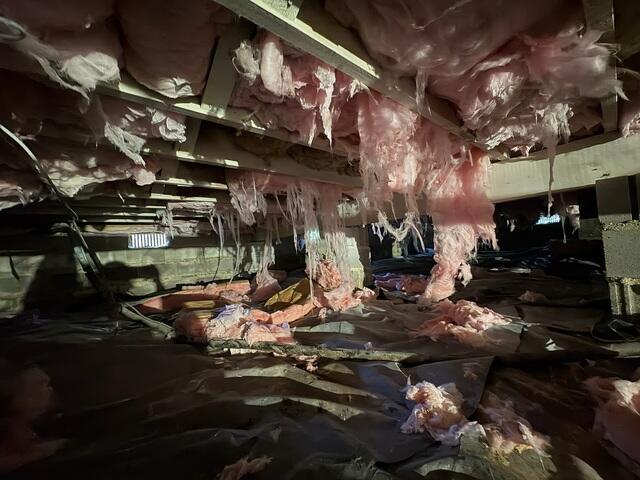 Crawl Space before