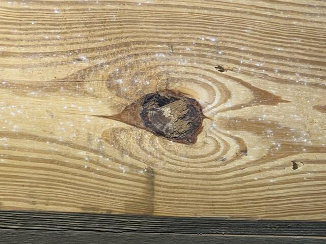 Mold Growth