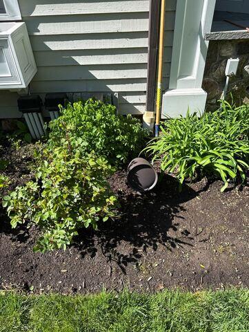 Outdoor Audio System with Landscape Speakers & Buried Subwoofer