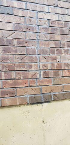 Exterior Wall Crack