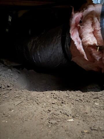 Step One: Excavate