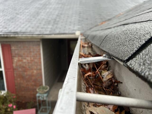 Clogged Gutters