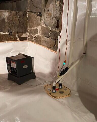 SaniDry Sedona Dehumidifier & TripleSafe Sump Pump