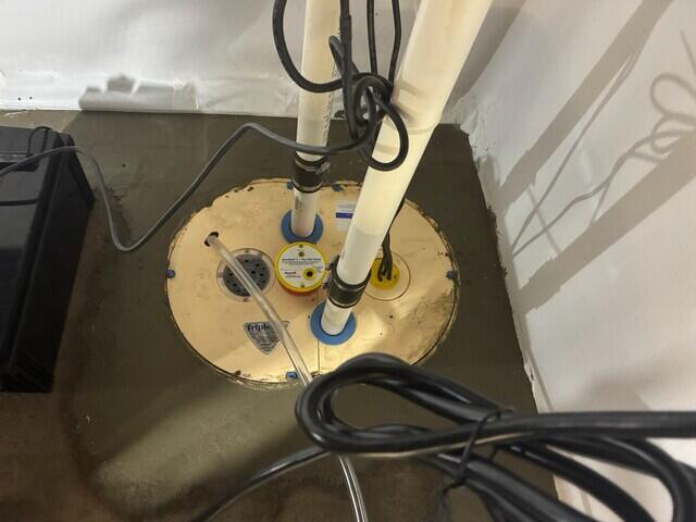 TripleSafe Sump Pump System