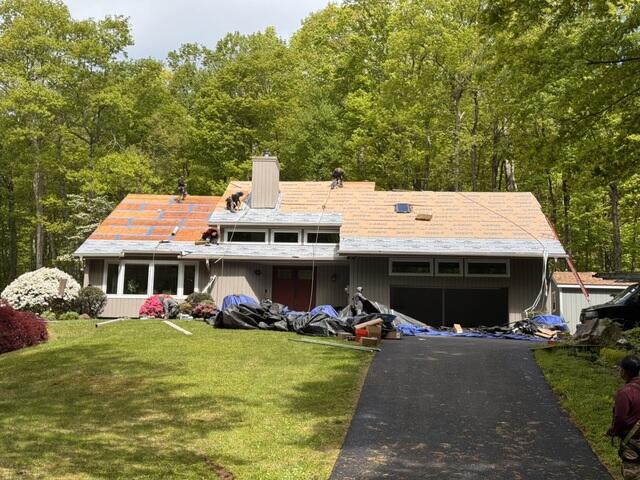 New Roof Taking Shape