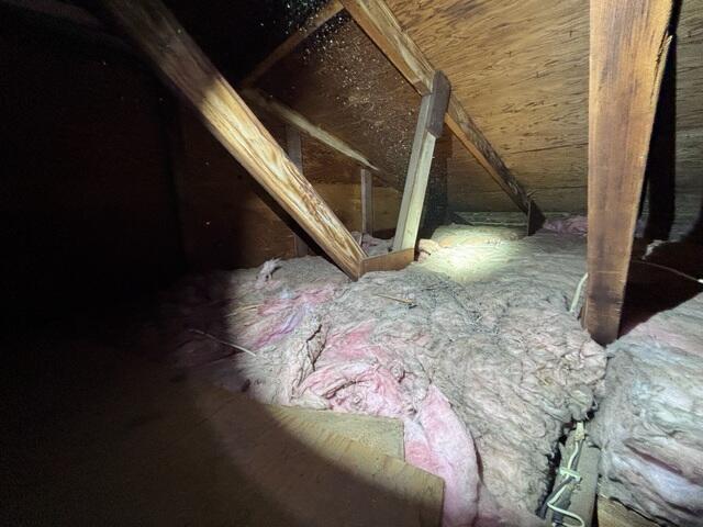 Old Insulation