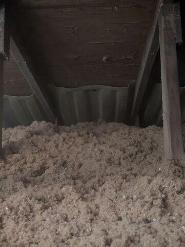 Dense Cellulose