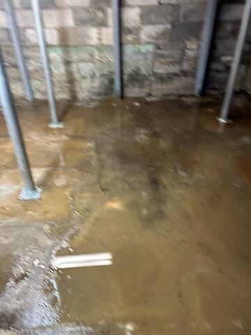 Old Beams