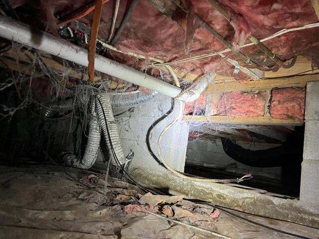 Dirty Crawl Space in Tollesboro, KY