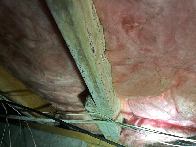 Moisture Problems in Tollesboro, KY