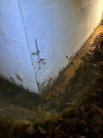 Standing Water