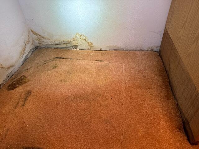 Very Wet Basement
