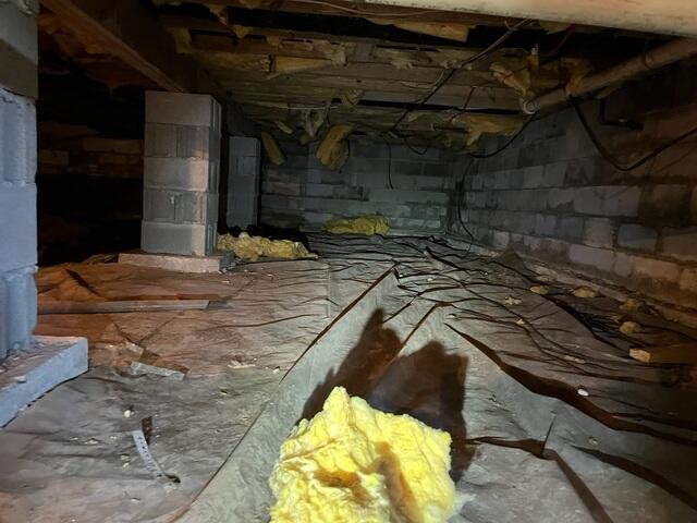 Humid Crawl Space in Versailles, KY