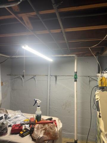 Humid Basement