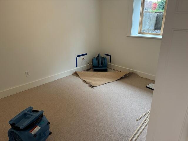 Water Under Carpet